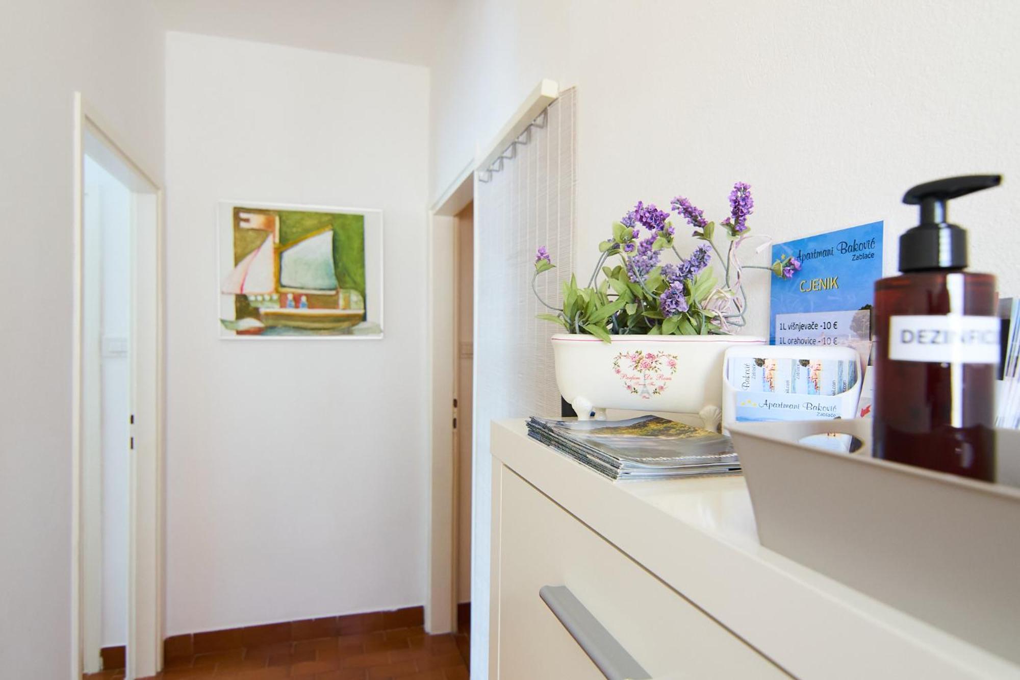 Apartment Marta I Franka *